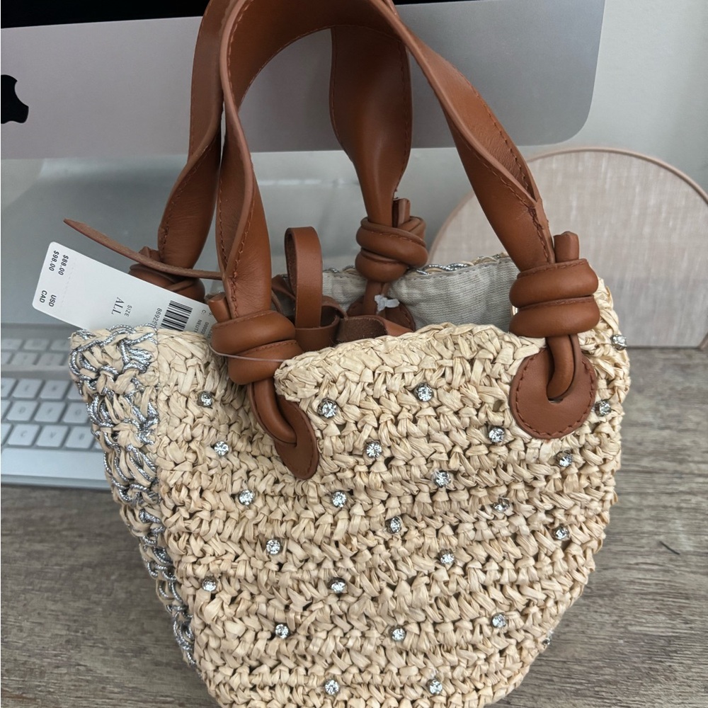 Anthropologie Woven Raffia Mini Bag